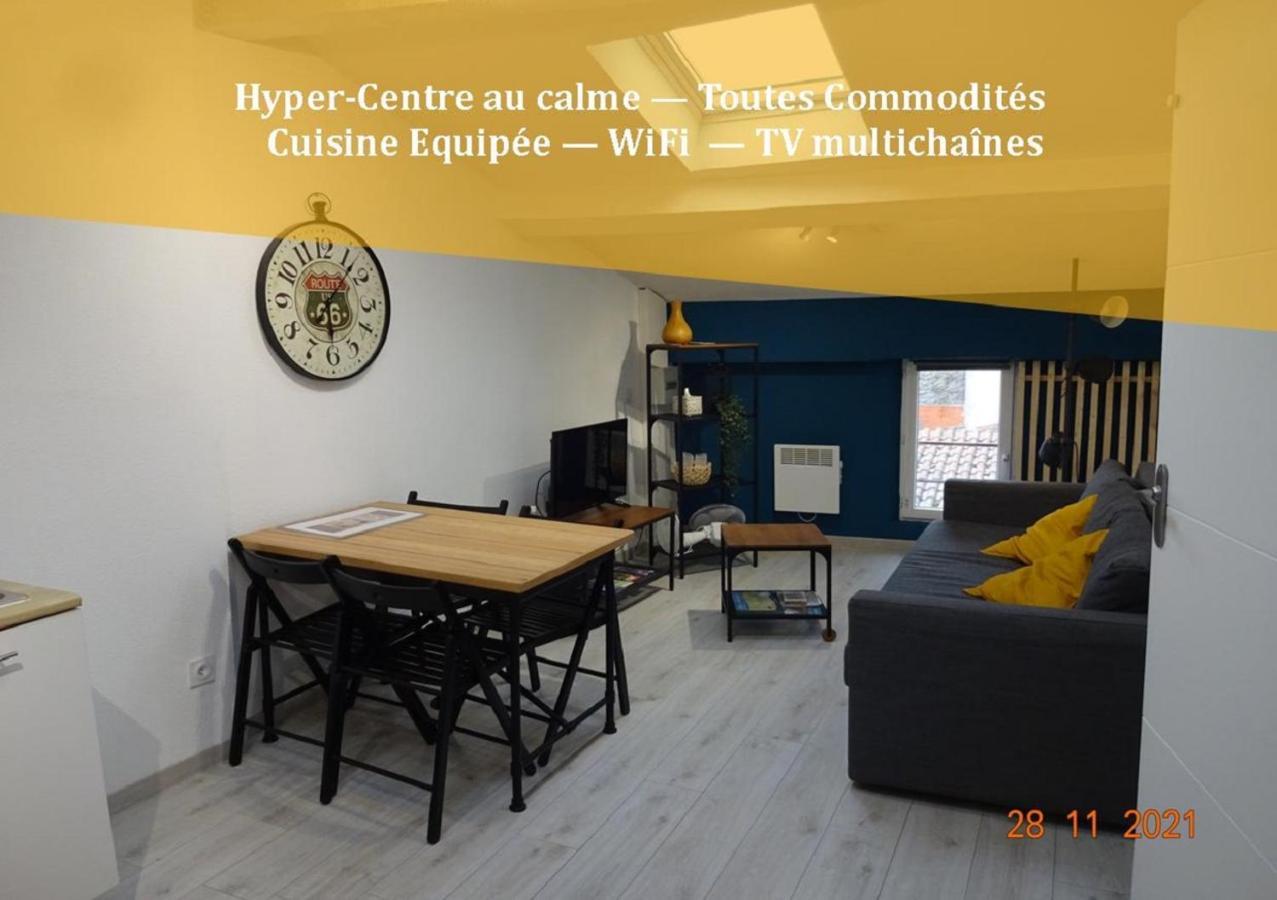 Sacha Au Calme En Hypercentre De Revel Appartement